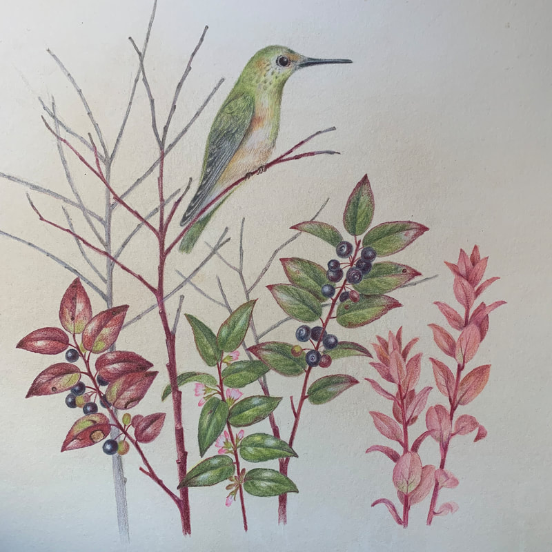 Botanical Dye Printmaking - Hoffman Center for the Arts